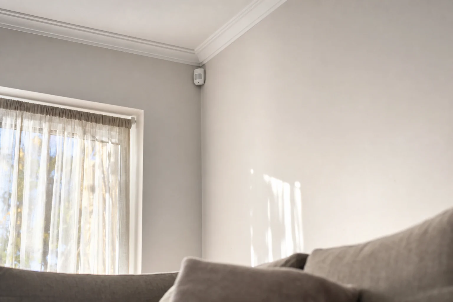 A small white motion sensor mounted high in the corner of a living room beside the cornice, with a curtained window to the left, sunlight falling across the wall below it and the back of a sofa in the foreground